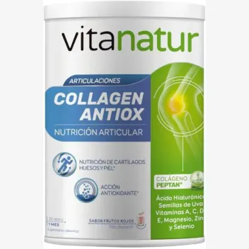 Vitanatur Colágeno Antiox Plus 360g